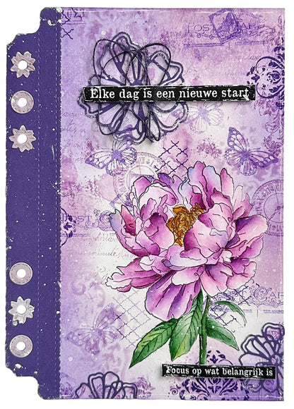 JMA Tampon Transparent Pivoine Intemporelle Rêves Victoriens 12 pièces