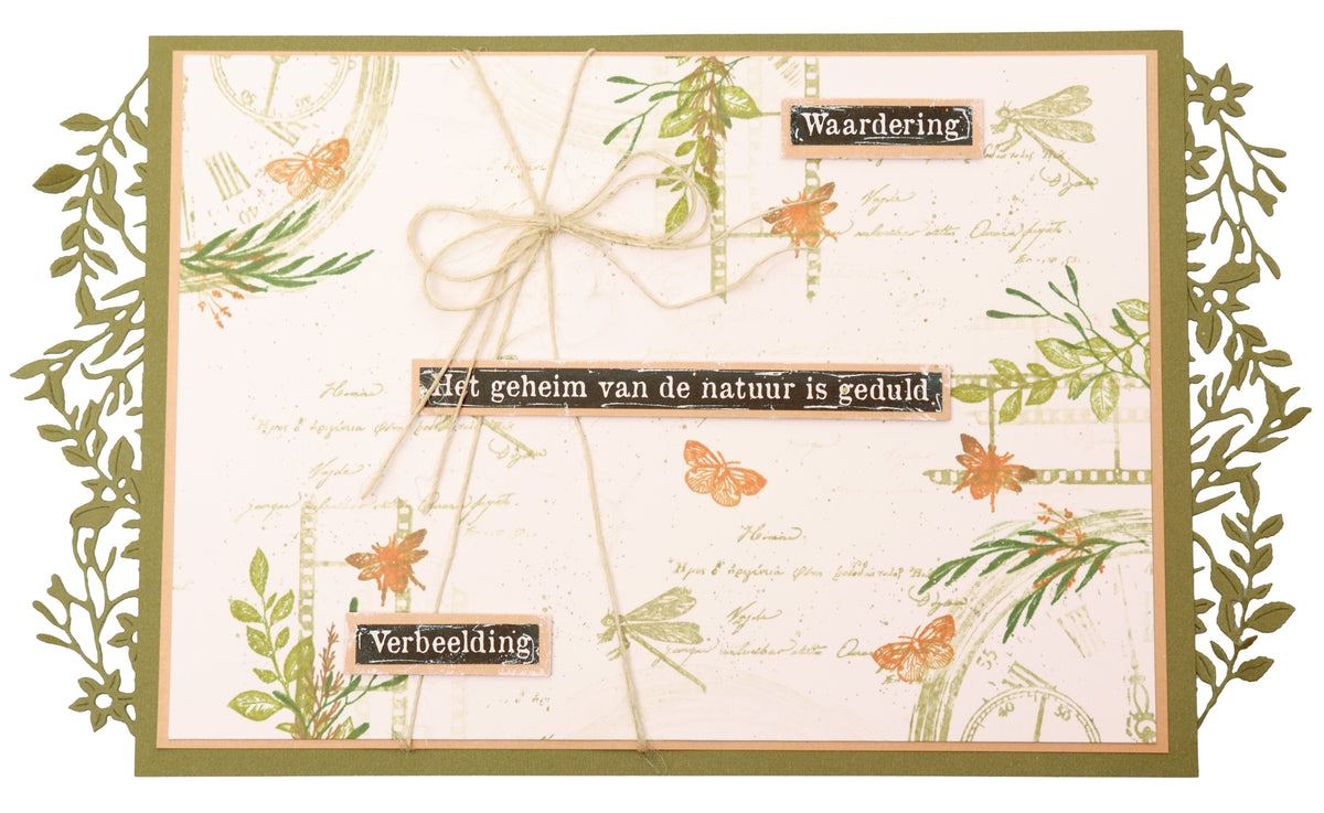 JMA Découpe Matrice Décoration & Cartes Wild & Free 15 pièces