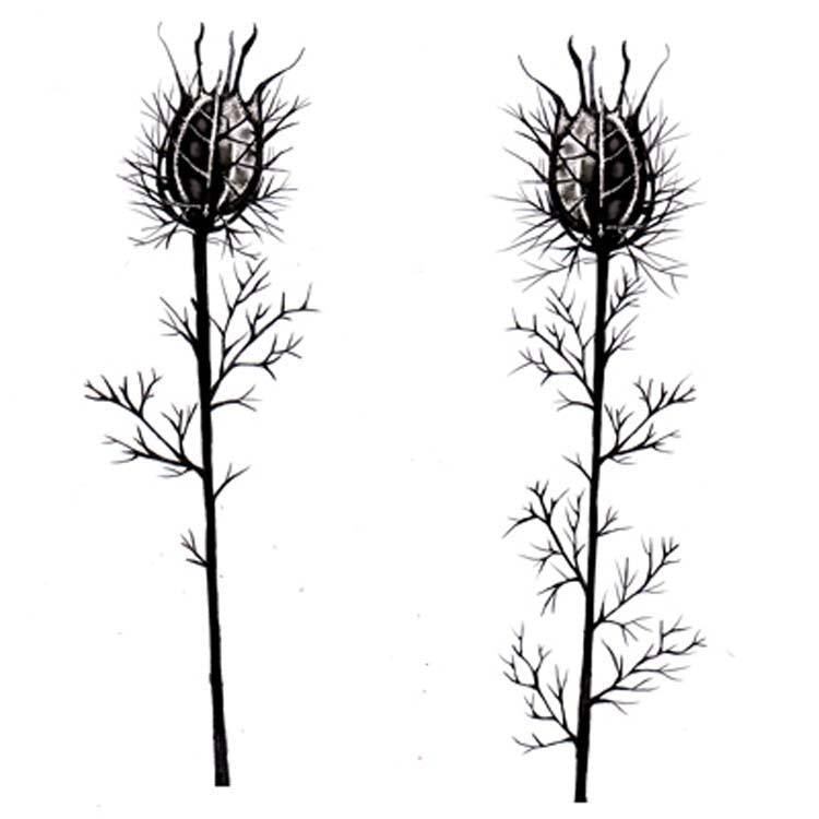 Lavinia Stamps - Nigelle de Damas