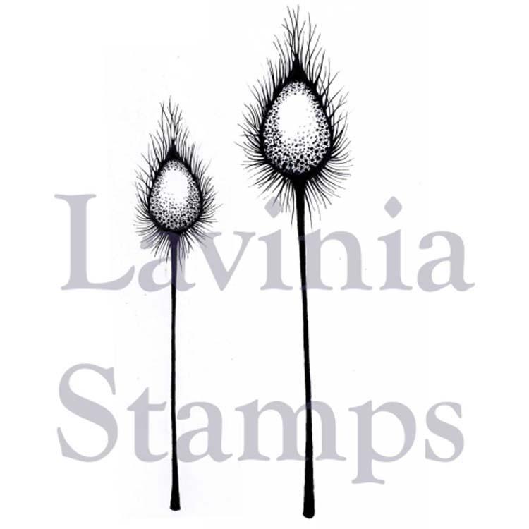 Lavinia Stamp - Haricots dragons