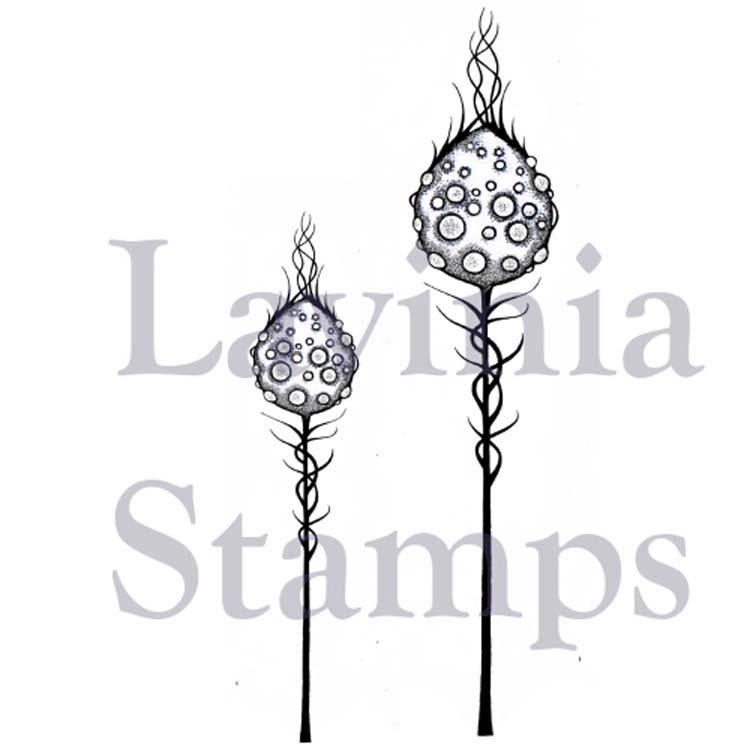 Lavinia Stamp - Capsules Lunaires