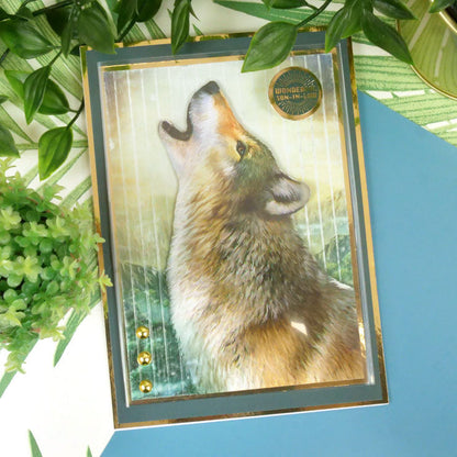 Le petit livre de Into The Wild