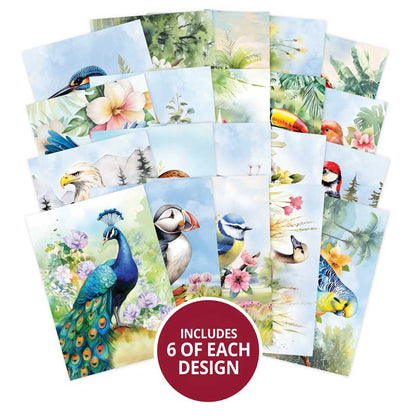 The Little Book of Beautiful Birds