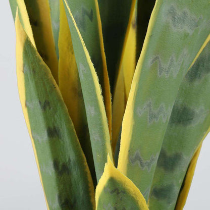 Leti Sansevieria Artificielle en Pot 53 cm