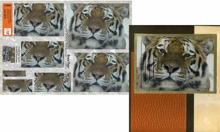 Grand Format - Tigre des neiges