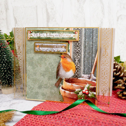 Robins Hivernaux - Feuille Acétate Luxe