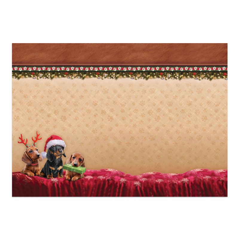 Un kit grand format de Noël "A Merry Little Christmas" - Pawsitively Festive