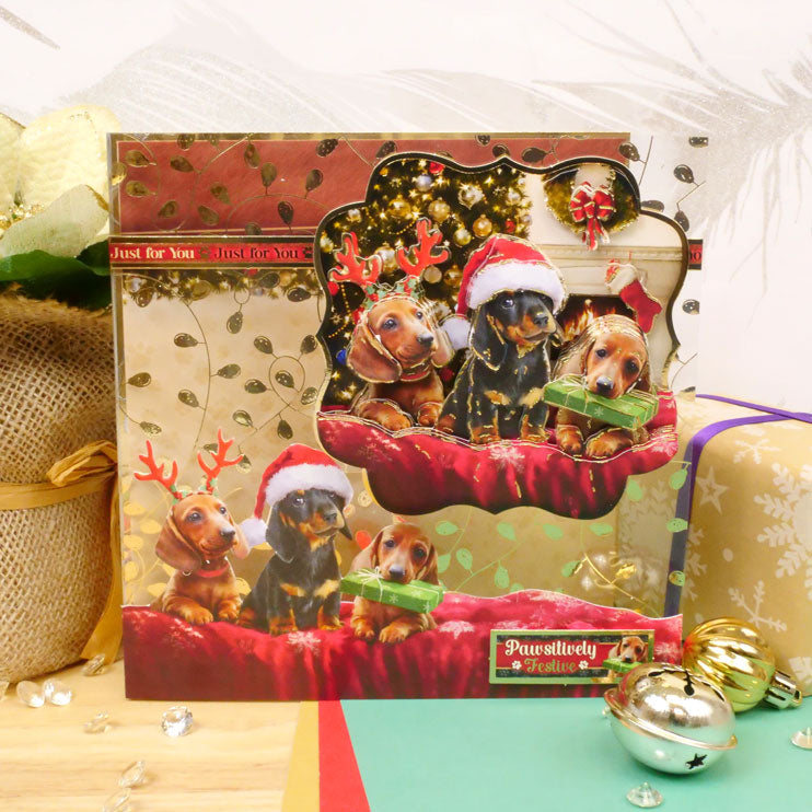 Un kit grand format de Noël "A Merry Little Christmas" - Pawsitively Festive