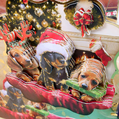 Un kit grand format de Noël "A Merry Little Christmas" - Pawsitively Festive