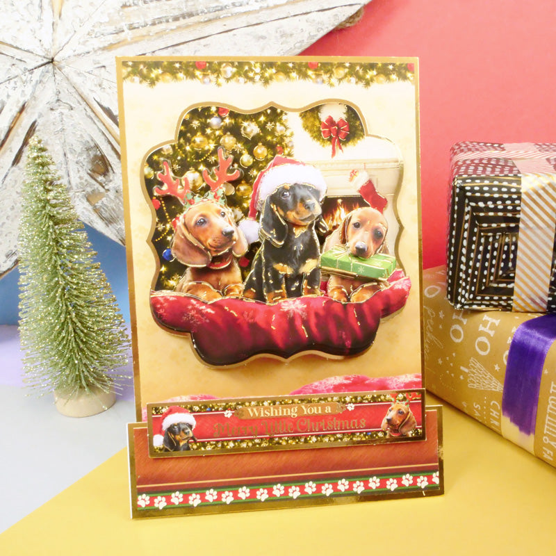 Un kit grand format de Noël "A Merry Little Christmas" - Pawsitively Festive