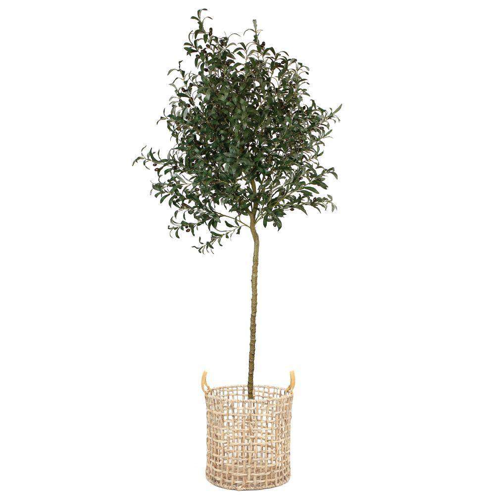 Jardinière Nénuphar Lupe