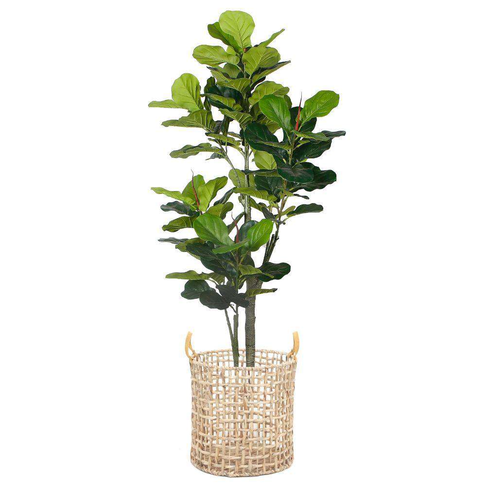 Jardinière Nénuphar Lupe