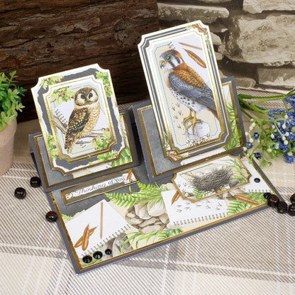 Sélection Botanical Birds Matt-tastic Adorable Scorable