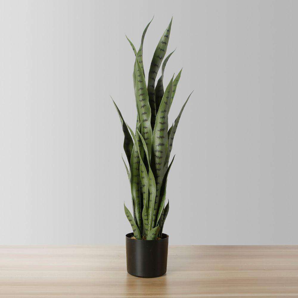Plante en pot artificielle Milo Sansevieria vert foncé (plusieurs tailles)