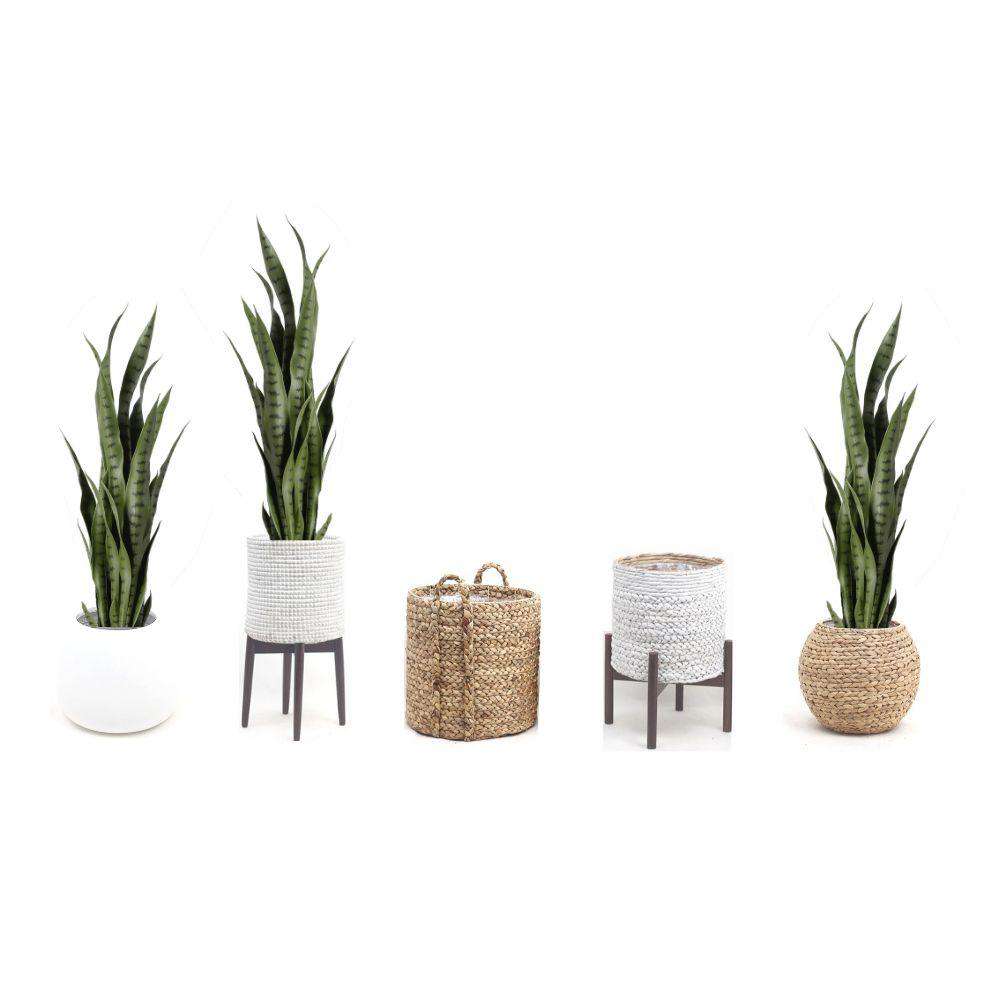 Plante en pot artificielle Milo Sansevieria vert foncé (plusieurs tailles)