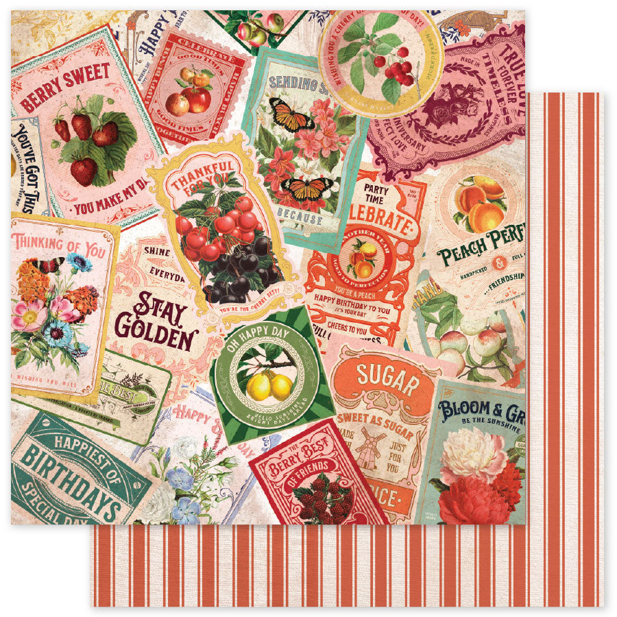 Meadowbrook Farm Basics E 12 x 12 Paper (12 pc Bulk Pack) 35058