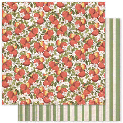 Meadowbrook Farm 6x6 Paper Collection 35016