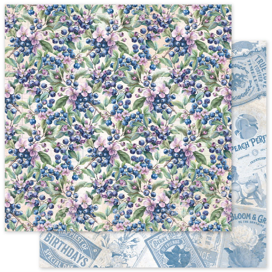 Collection de Papiers Meadowbrook Farm Patterns 6x6 35085