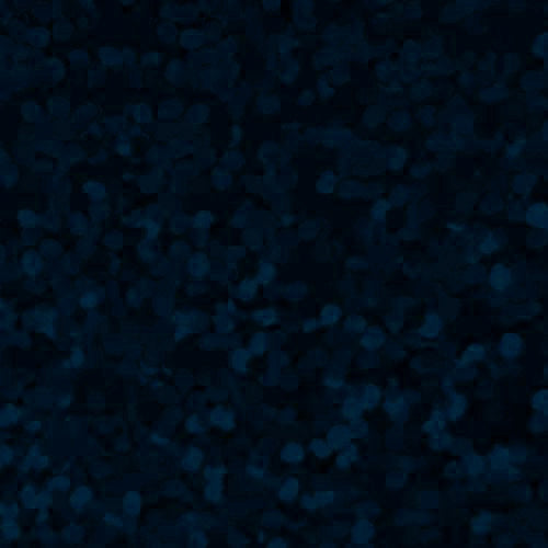 Vinyle thermocollant à paillettes holographiques XVINYL – Vinyle de transfert thermique (bleu marine), 30,5 x 25,4 cm, 5 feuilles