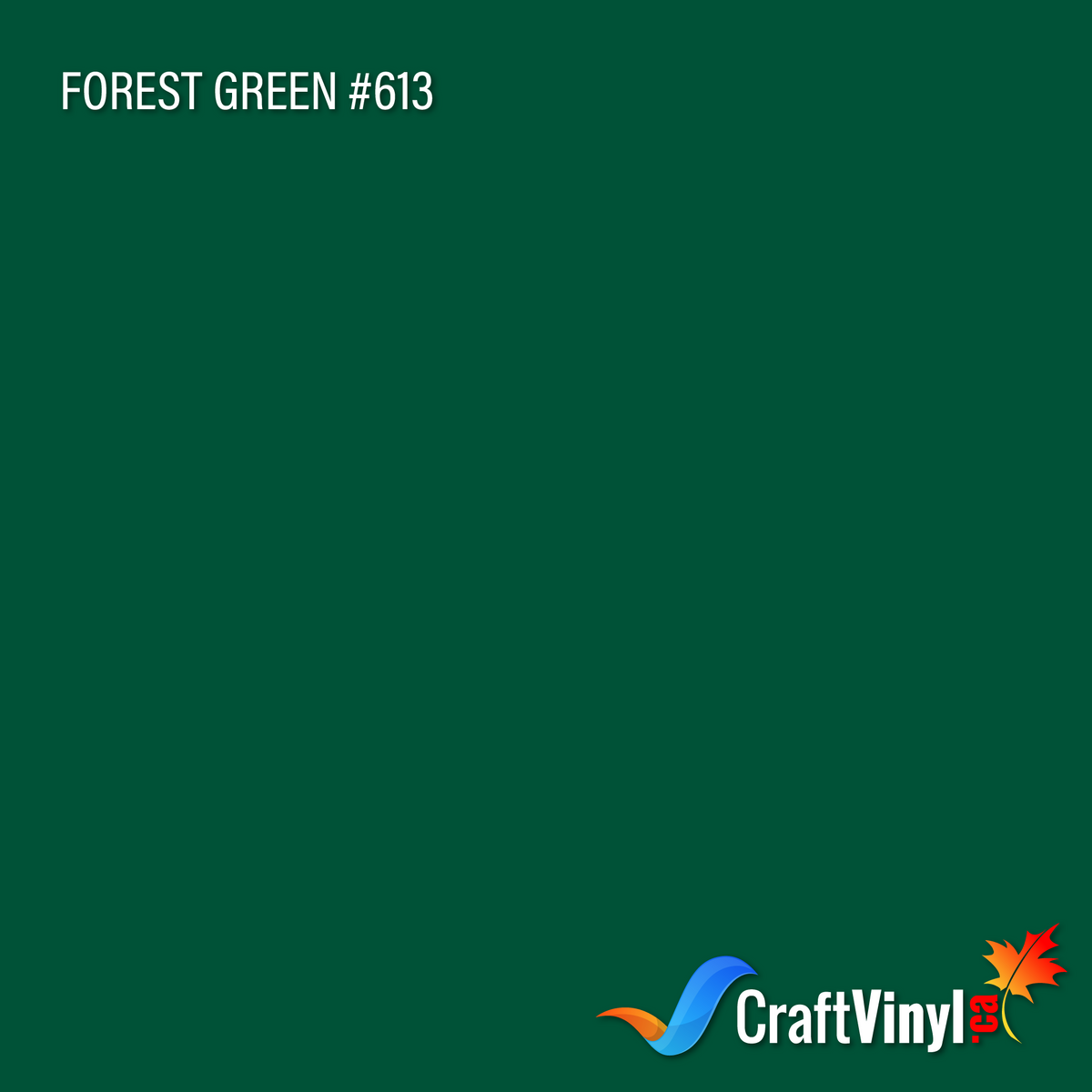Oracal 651 Vinyle vert forêt brillant #613