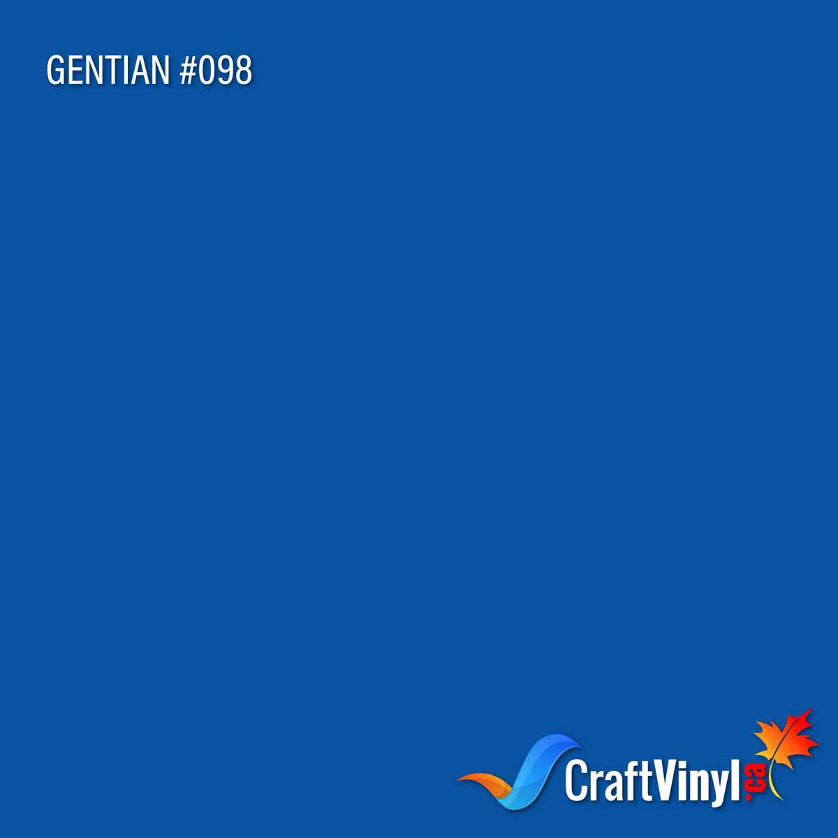 Vinyle Oracal 651 Brillant Gentiane #098