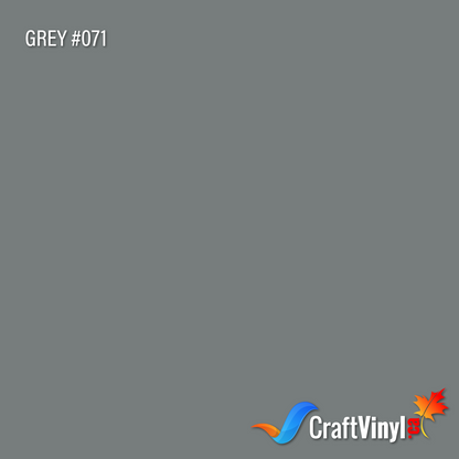 Vinyle Gris Brillant Oracal 651 #071