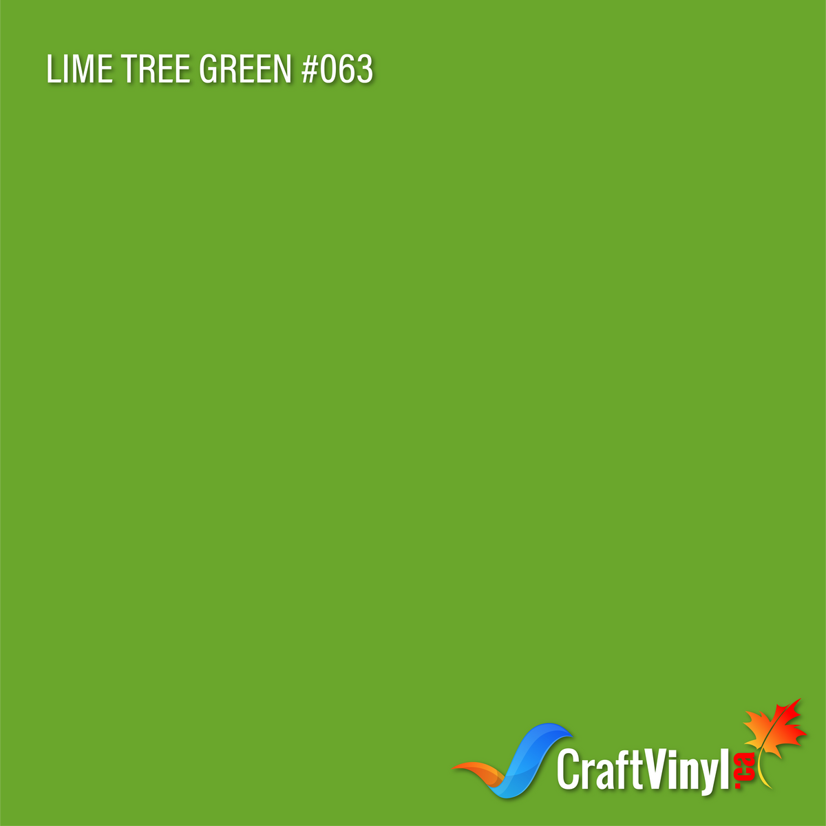 Vinyle Oracal 651 brillant vert tilleul n°063