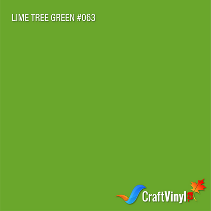 Vinyle Oracal 651 brillant vert tilleul n°063