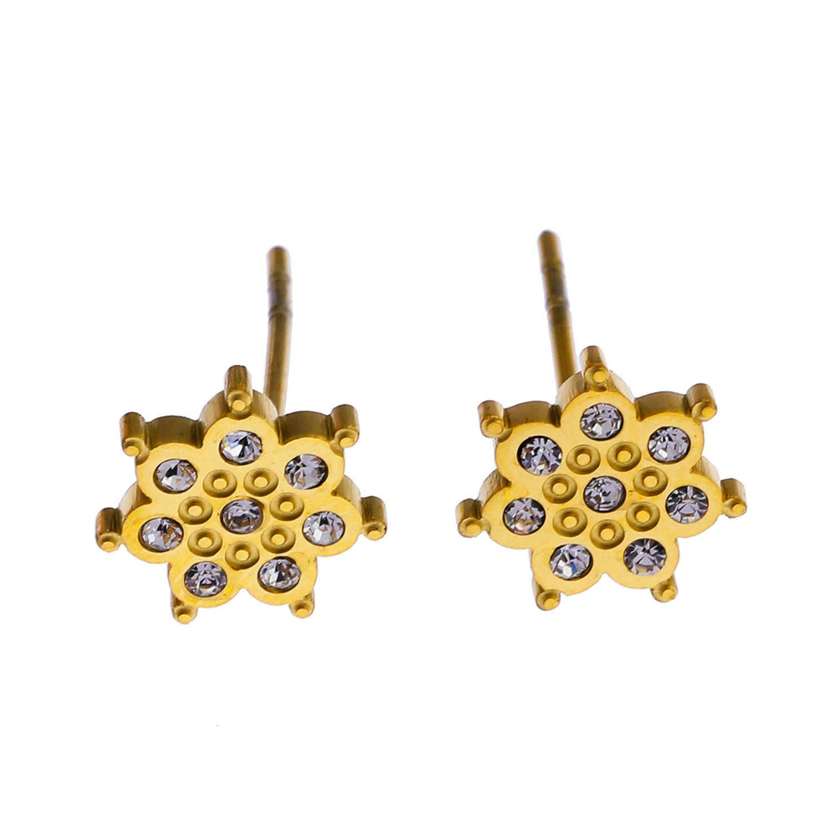 Modèle AGNES : Puces d'oreilles en zircone « Be a Star »