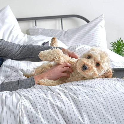 Parure de draps en percale de coton biologique essentielle