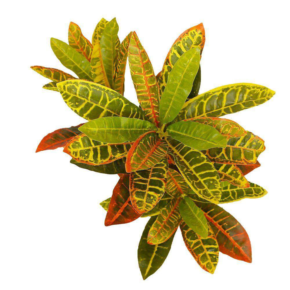 Pinto Croton Artificiel en Pot 56 cm