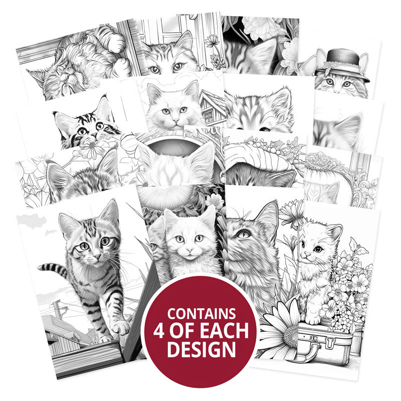 Carnets de coloriage de poche - Petits Miaous