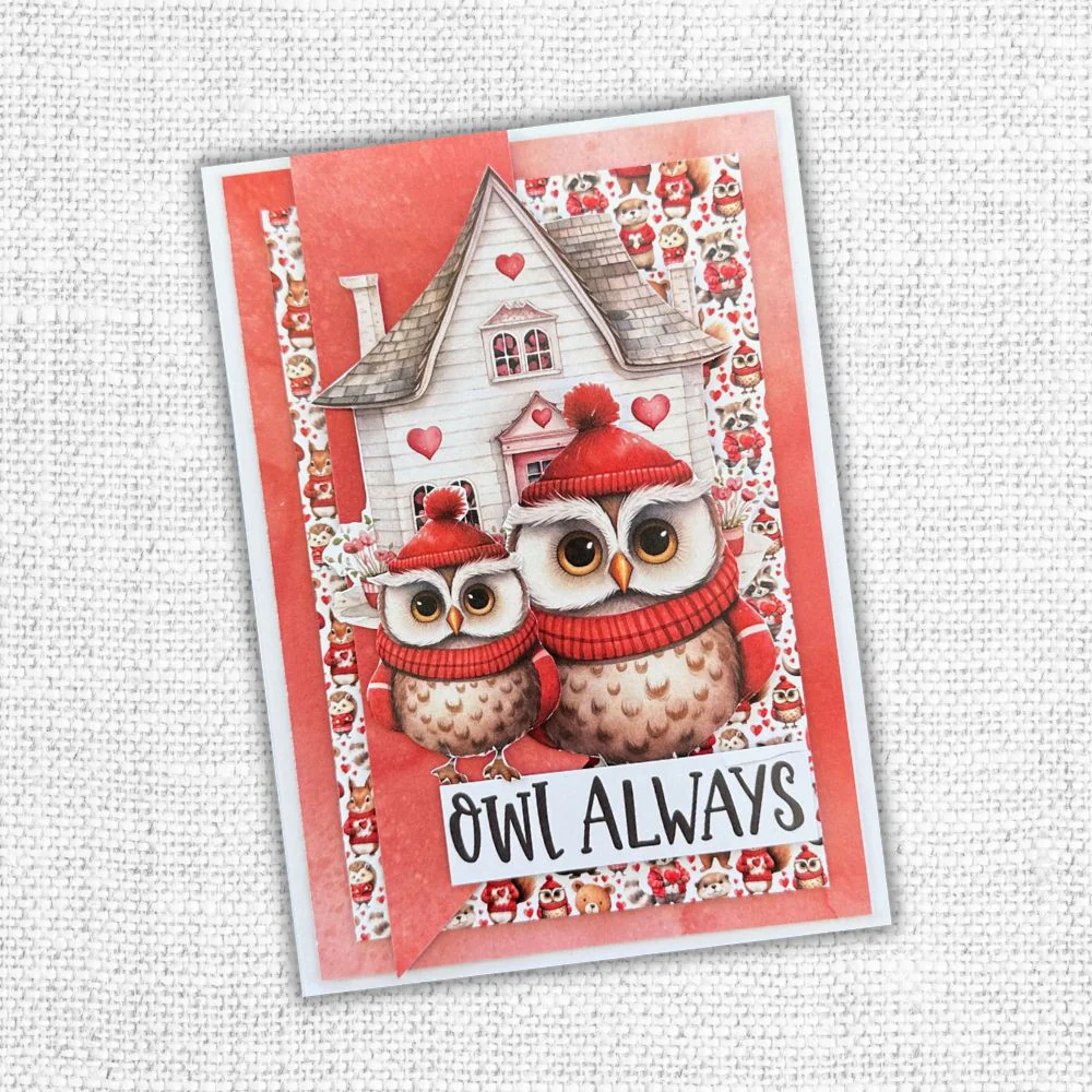 Collection de papiers Animal Love 6x6 31659