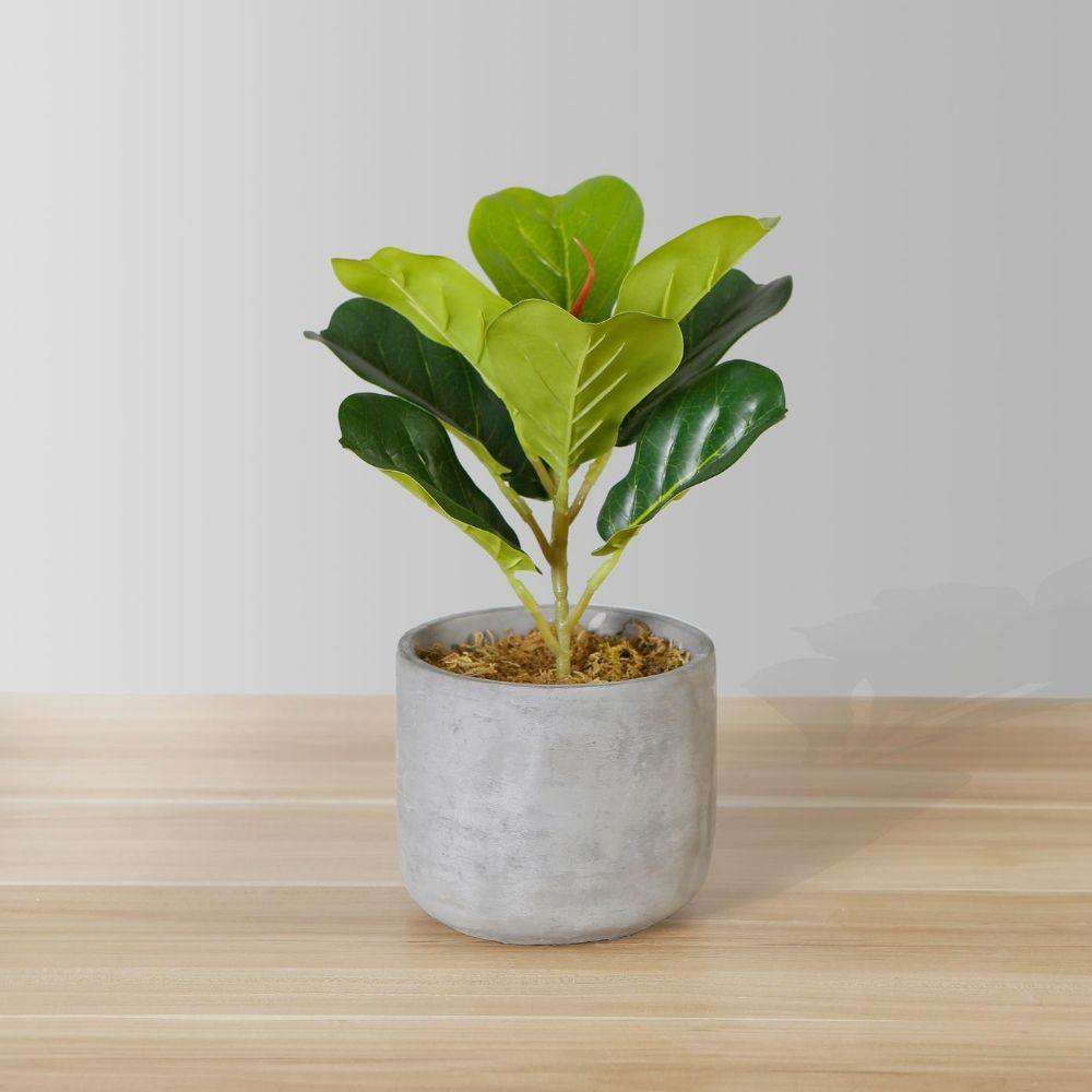 Plante de figuier lyre artificielle en pot Panuco