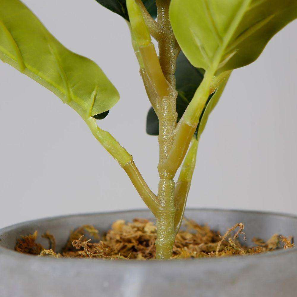 Plante de figuier lyre artificielle en pot Panuco