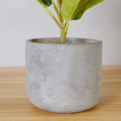Plante de figuier lyre artificielle en pot Panuco