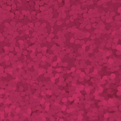XVINYL Holographic Sparkle HTV - Heat Transfer Vinyl (Puschia), 12x10", 5 Sheets