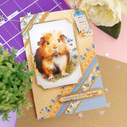 Quick Cards - Perfect Pets