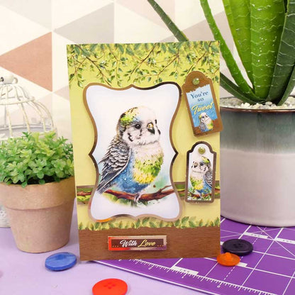 Quick Cards - Perfect Pets