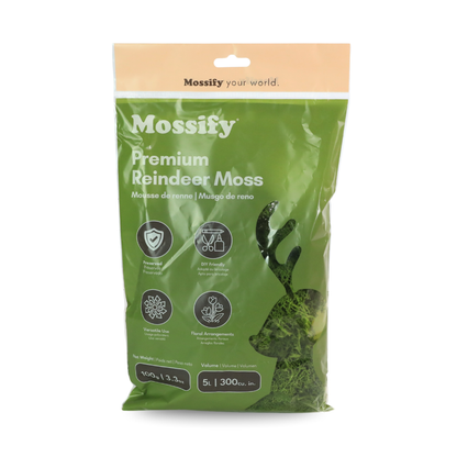 Premium Reindeer Moss Bag