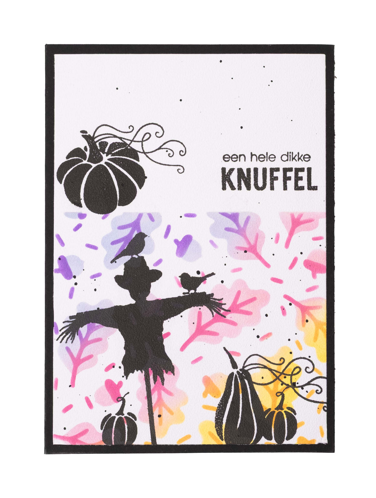 SL Tampon transparent Citrouille Essentiels 7 pièces