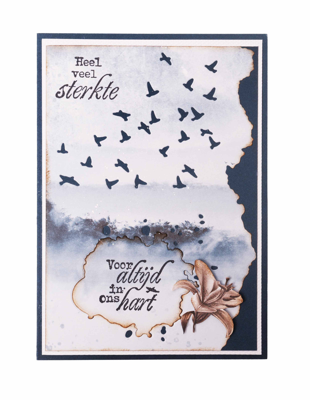 SL Matrices de découpe N'oubliez jamais En souvenir affectueux 98x148x1mm 4 pièces n°739