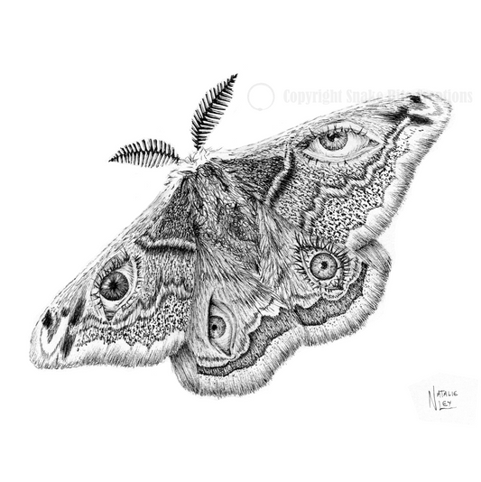 'An Eye Opening Scene' Art Print