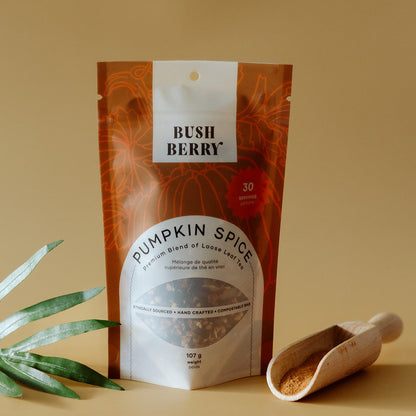 Thé Bio Citrouille Épicée