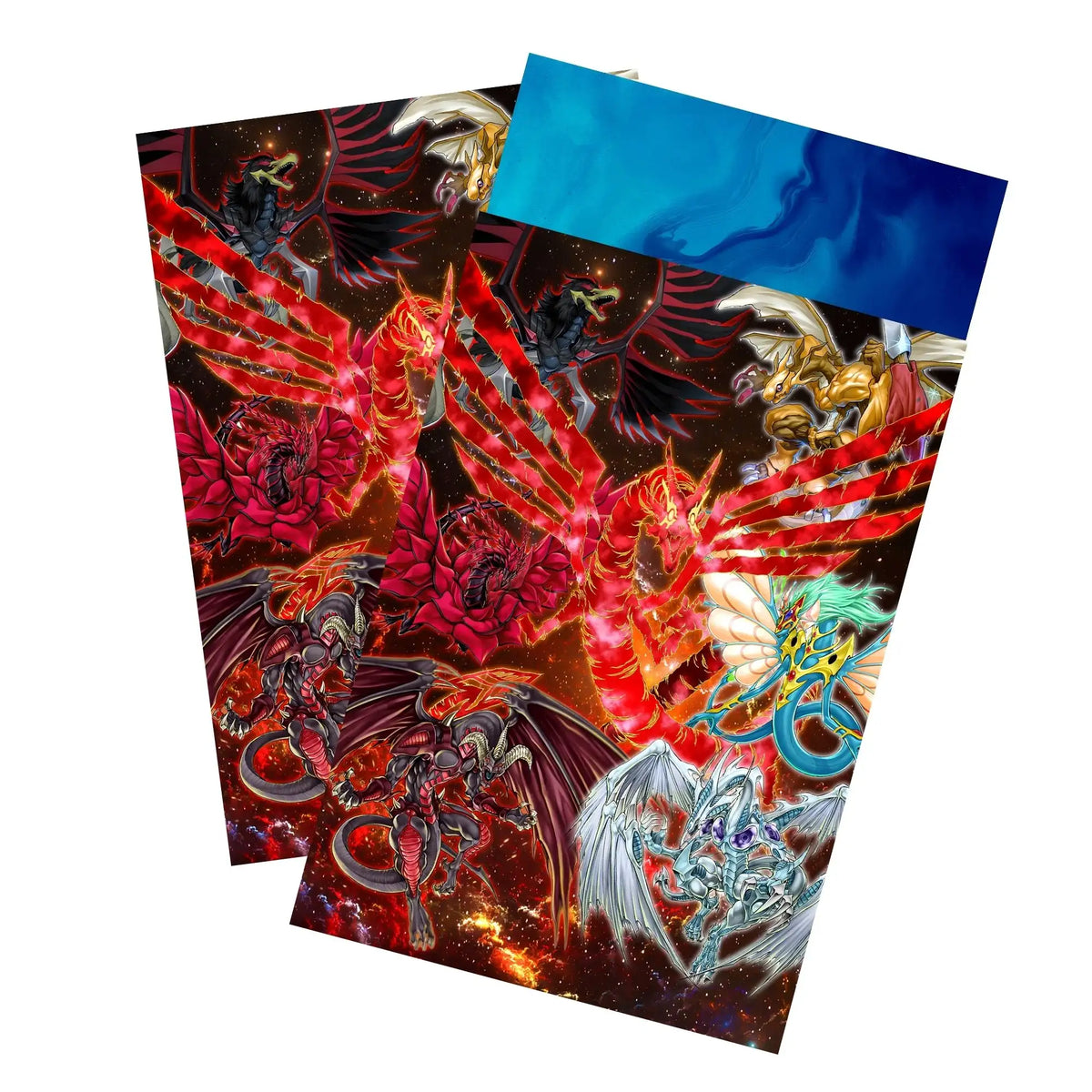 Protège-cartes Signer Dragons
