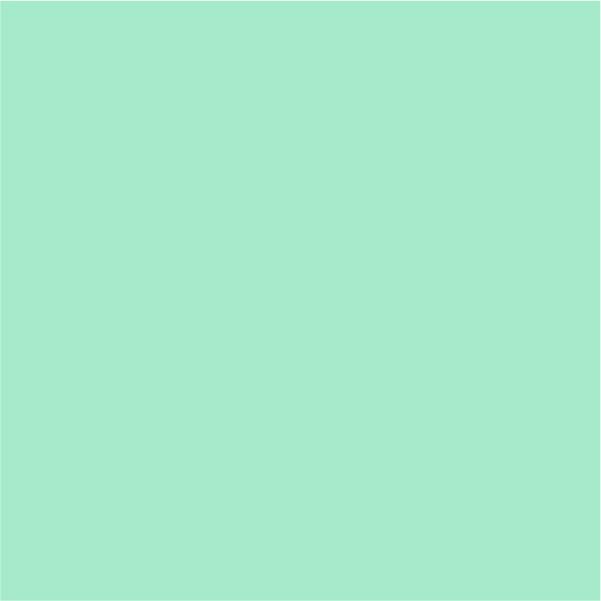 Siser Easyweed Stretch Menthe Douce