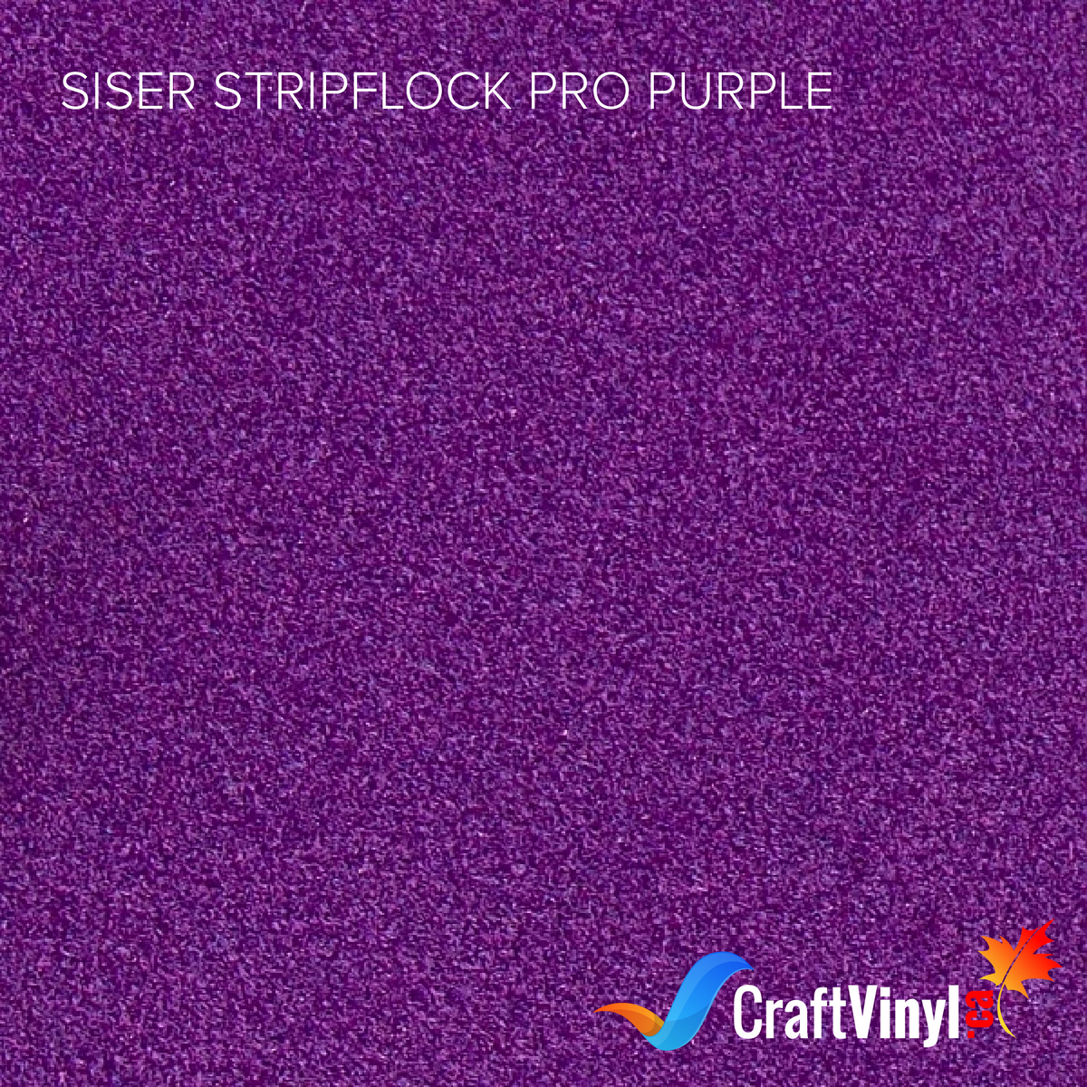Vinyle thermocollant Siser Purple StripFlock Pro