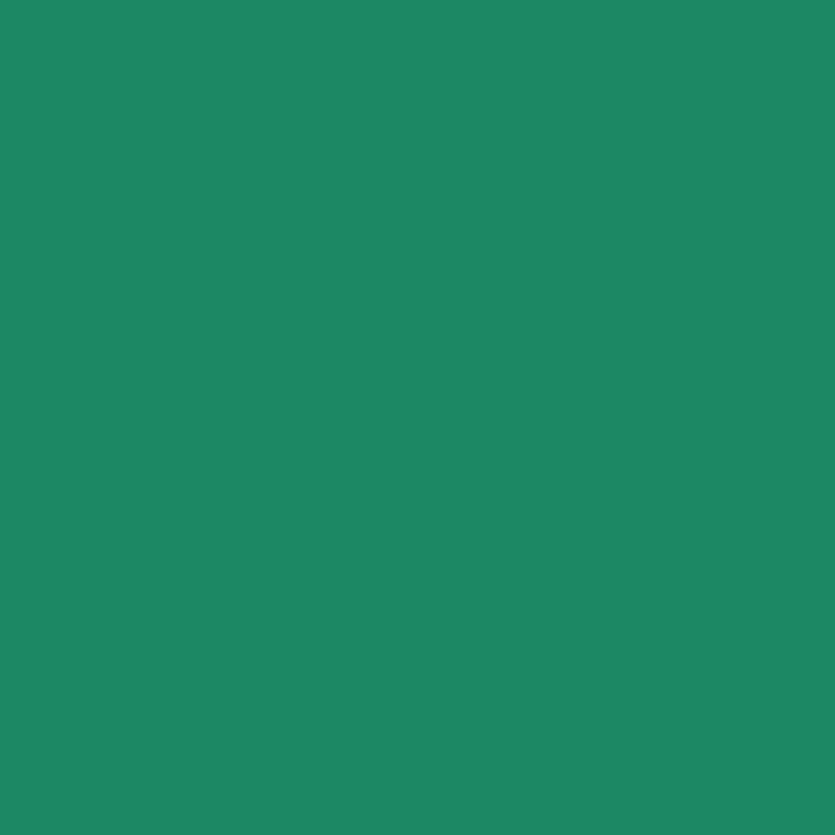 Siser Easyweed Cadette vert rouleau de 30,5 cm x 1,5 m