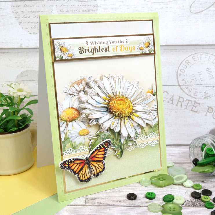 Cartes vierges et enveloppes pliées en tente à bords cousus - Taille 7" x 5"