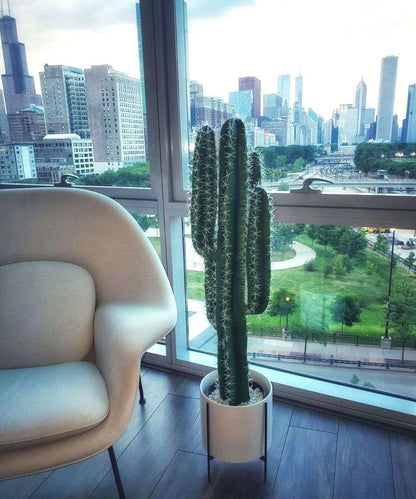 Tito Cactus Artificiel en Pot 104 cm